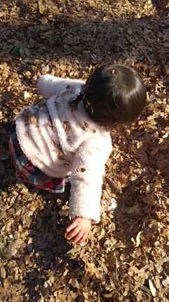 ボールよりも好きなものの記事動画