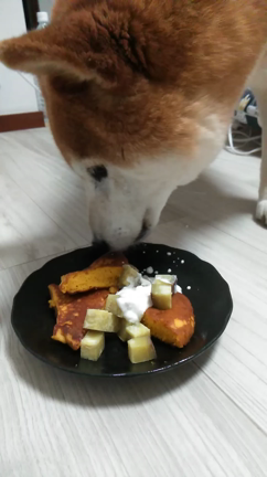 祝♥️14歳の記事動画