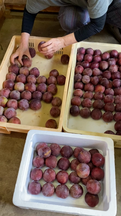 鳴沢村からの記事動画