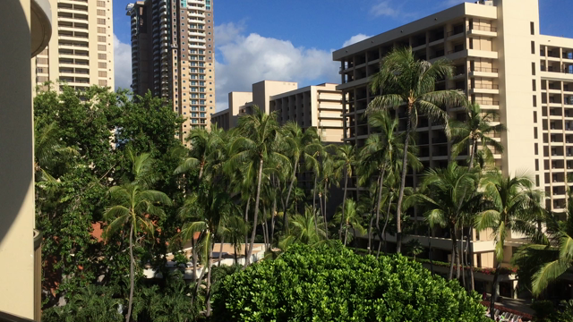 ようやくワイキキの記事動画