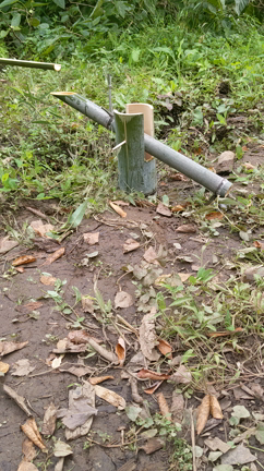 自然と1週間の記事動画