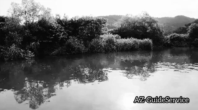 TiNY KLASH炸裂！…な話しの記事動画