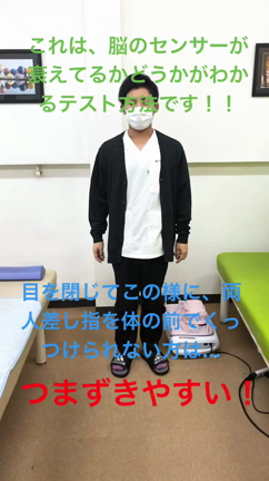 豆知識の記事動画