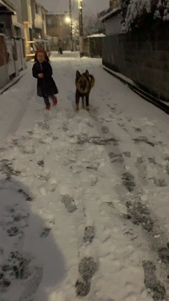 雪の日にの記事動画