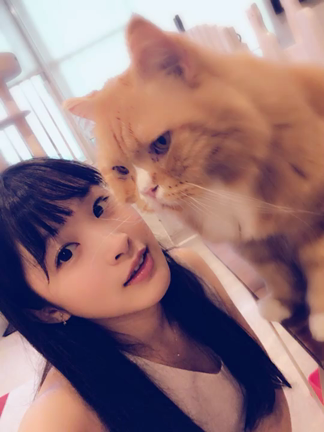 猫ちゃん。の記事動画