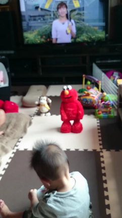 おもちゃの記事動画