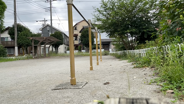 蝉がうる蝉〜(^｡^)の記事動画