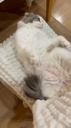 オープンザムネ^_^の記事動画