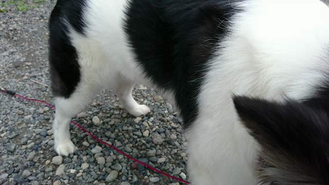 北海道をお裾分け❤の記事動画