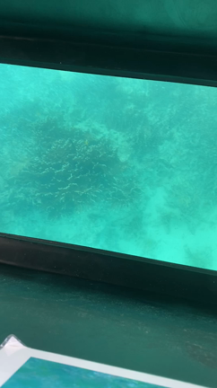 新婚旅行〜沖縄・先島諸島〜の記事動画