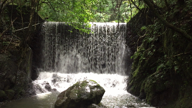 引き寄せ会社社長－1247日目（流されて楽しむ）の記事動画
