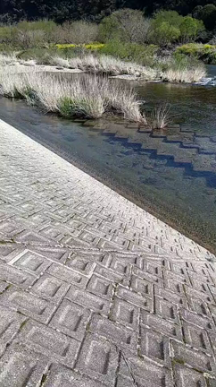 〇〇の季節の記事動画