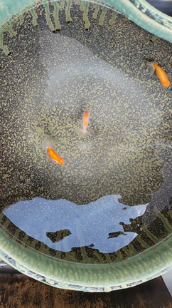 爆買いじゃないストレス発散その２の記事動画