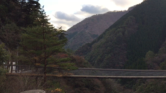 何気なく撮ってみた動画の記事動画