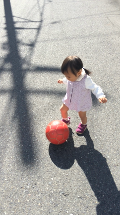 なでしこの記事動画