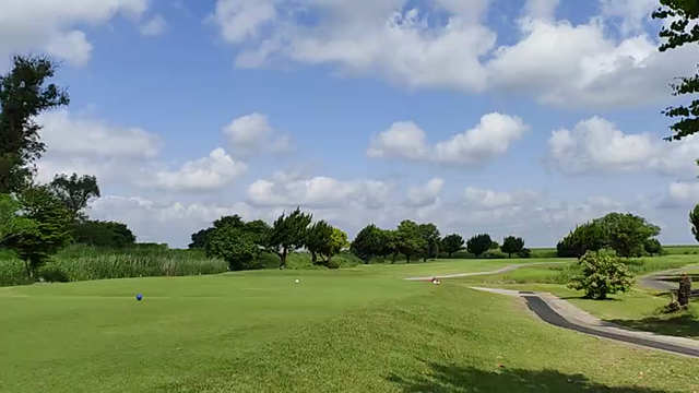 ゴルフ記念日の記事動画