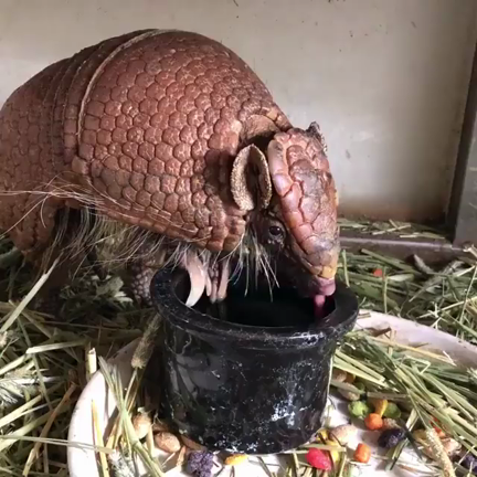 美味しいお水の記事動画