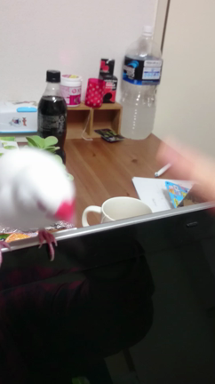 ☆ちゅん☆の記事動画