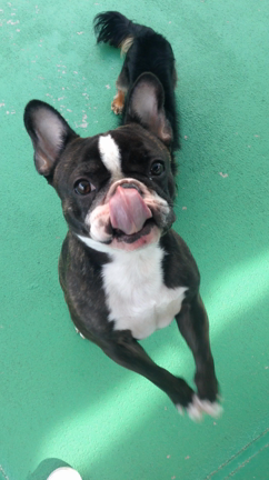 あんちゃんとモモカちゃん☆の記事動画