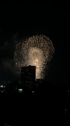 枚方の花火の記事動画
