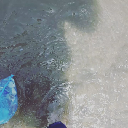 ガリの記事動画