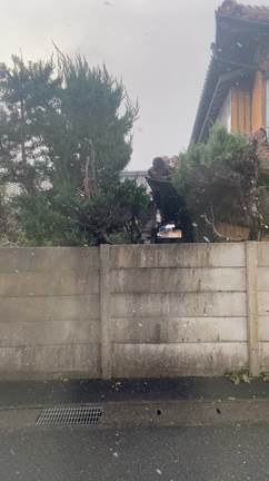 雪ですなの記事動画