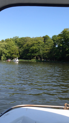 爽やかなの記事動画