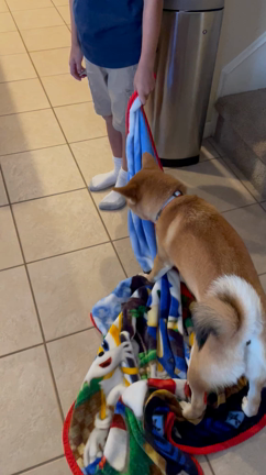 イムズ(アジアンスーパー)の記事動画