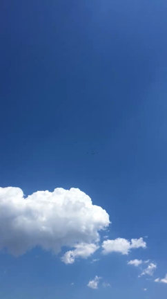 ★ ご褒美 ★の記事動画