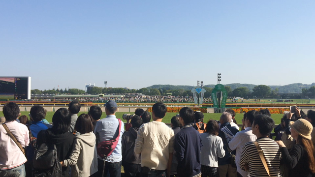 初競馬の記事動画