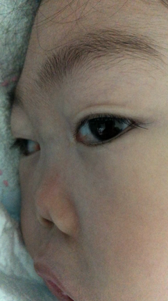 今日絶対にやりたいことの記事動画