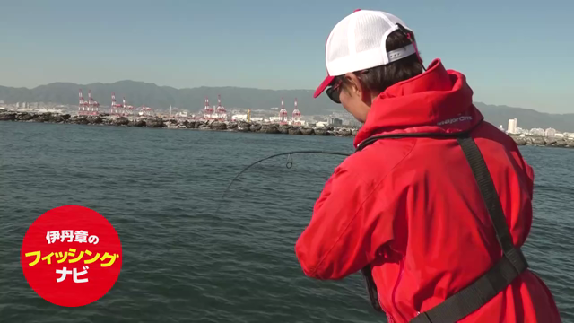 サワラキャスティング動画の記事動画