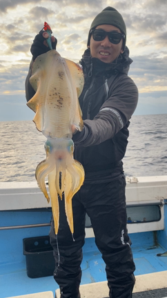 12/11 ティップラン便‼︎の記事動画