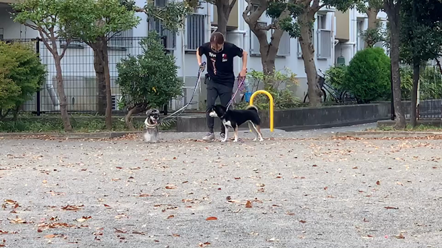 あっという間に10月！の記事動画