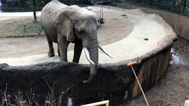 今日はいい風呂の日 だそうですの記事動画