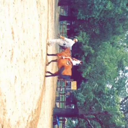 nonhoi park*の記事動画