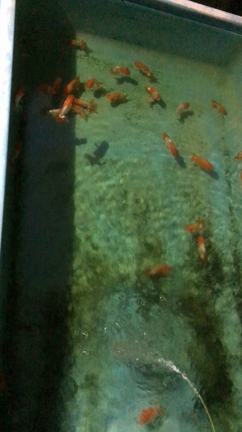 長きに渡るの記事動画