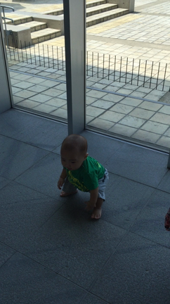 ビデオ。の記事動画