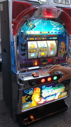 本日の入荷の記事動画