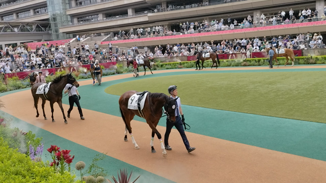 オークス結果は…の記事動画