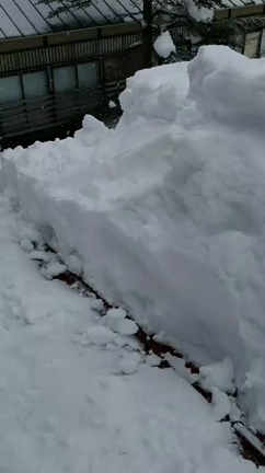 先取り❗️館主の雪降ろし術️の記事動画