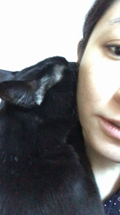 甘えんぼさん❤️の記事動画