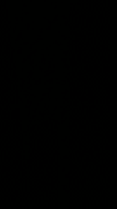 ヘピリンバを演奏してみました(笑)の記事動画