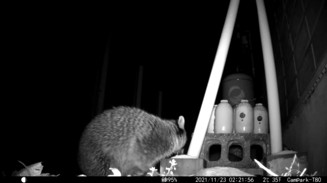 不審者の記事動画