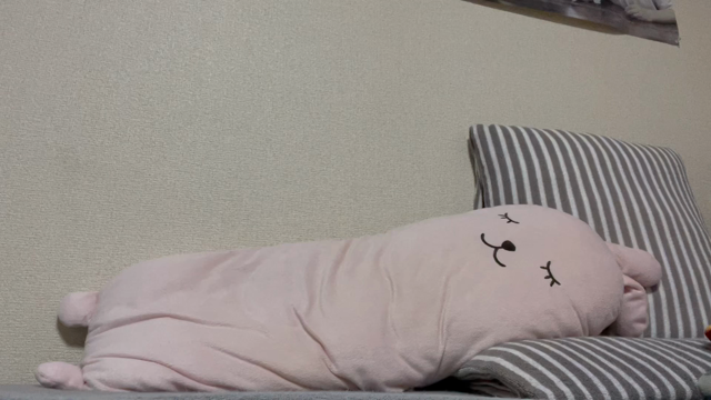 下北沢まで往復 2021.7.5の記事動画