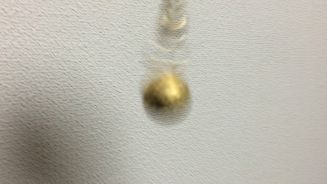 日光【東照宮】へショートトリップ！の記事動画