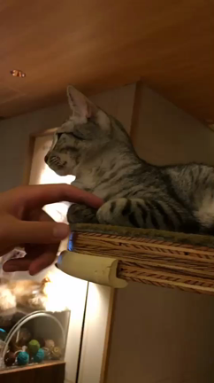 選手ブログ 青木孝史朗の記事動画