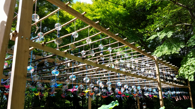 涼みに…。の記事動画