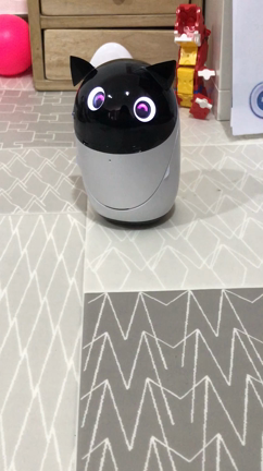 ふたりともかわいいの記事動画