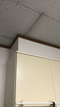 サプライズ　雨漏り　の記事動画